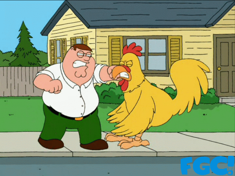 Family_Guy_Peter_and_The_Chicken_Fighting,Blind_Ambition.gif