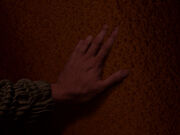Harry Groener hand double
