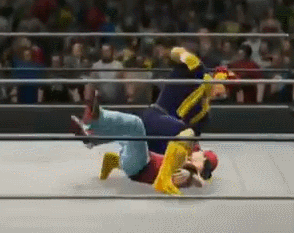 FalconPunches.gif.gif