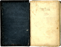 Tom-riddles-diary