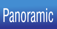 Panoramic Logo-IV
