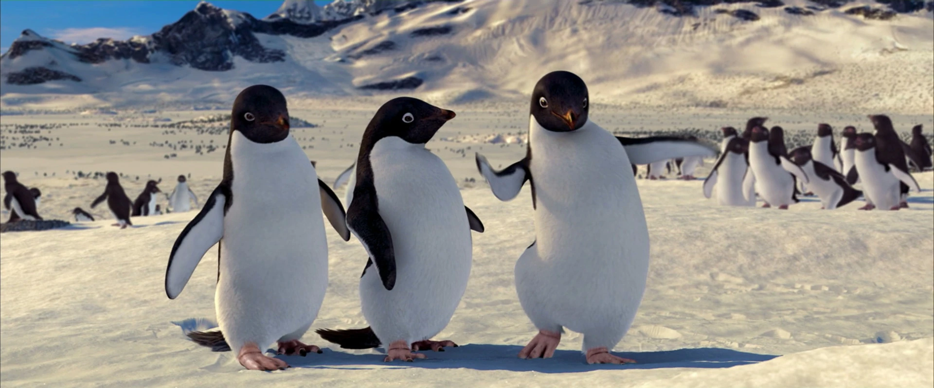 List of species - Happy Feet Wiki, The Movie-Based Happy Feet Encyclopedia