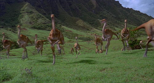 Gallimimus