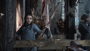 Winter is Coming Arya shoots bullseye