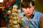 Neville Longbottom showed his interest in Herbology