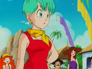 BulmaBuuSaga