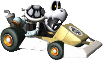 KartDS