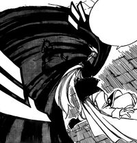 Rogue Shadow Attacks Natsu