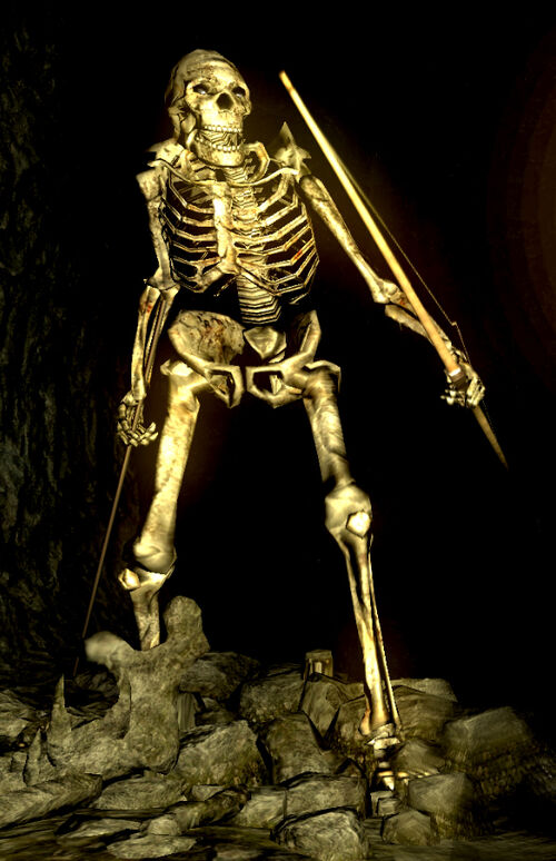 Giant Skeleton - Dark Souls Wiki