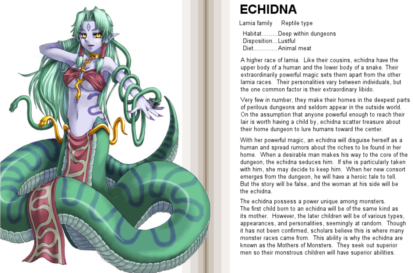 Echidna - Monster Girl Encyclopedia Wiki
