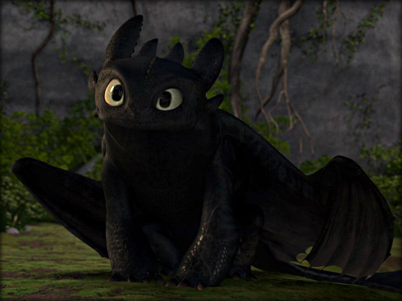 Toothless_picture.jpg
