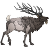 Elk