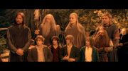 LotR Fellowship of the Ring 00509