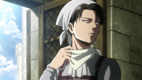 Levi the cleaner