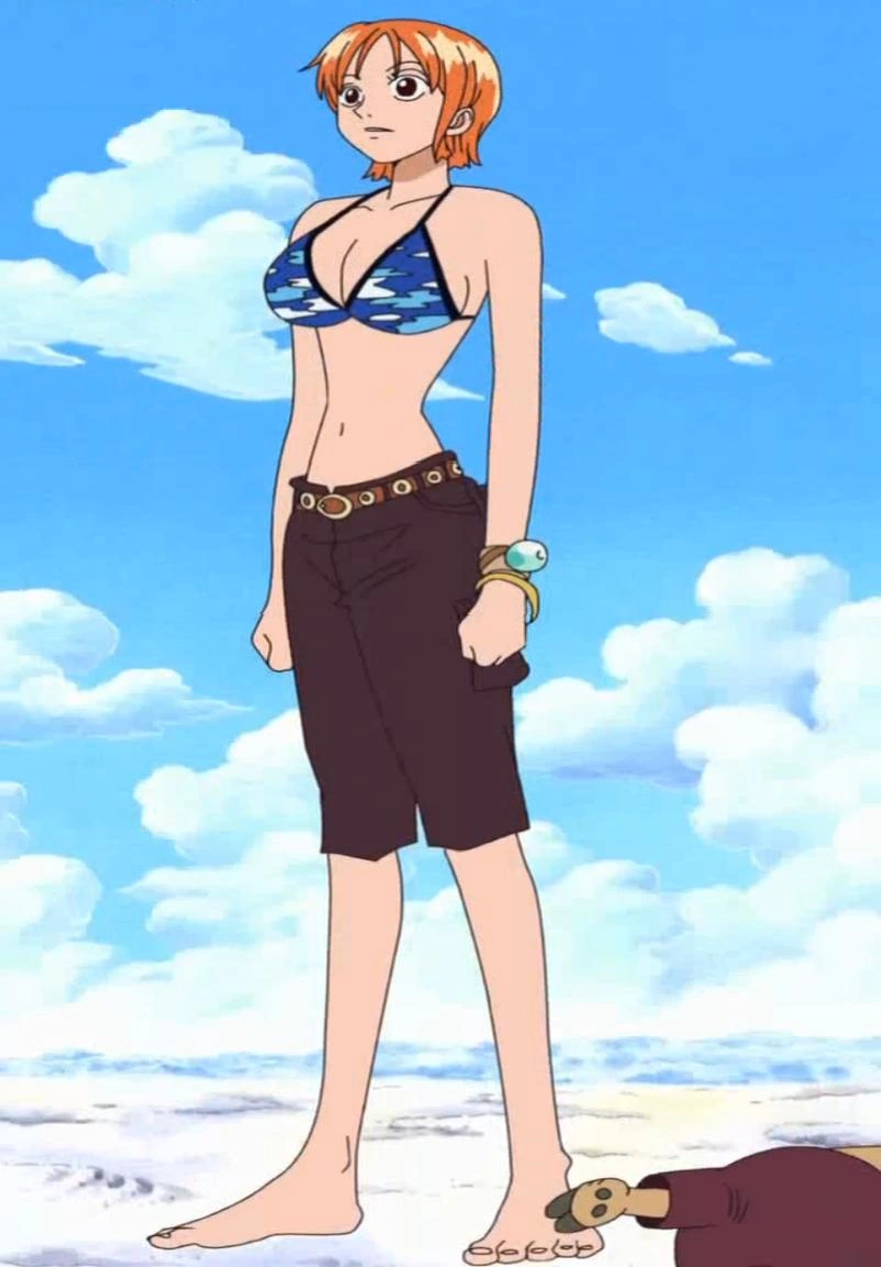 Image Nami Anime Pre Timeskip Infobox png The One Piece Wiki 