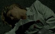 Lynne Reed death
