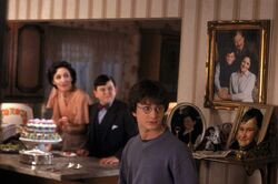 Hp18harrydursleys