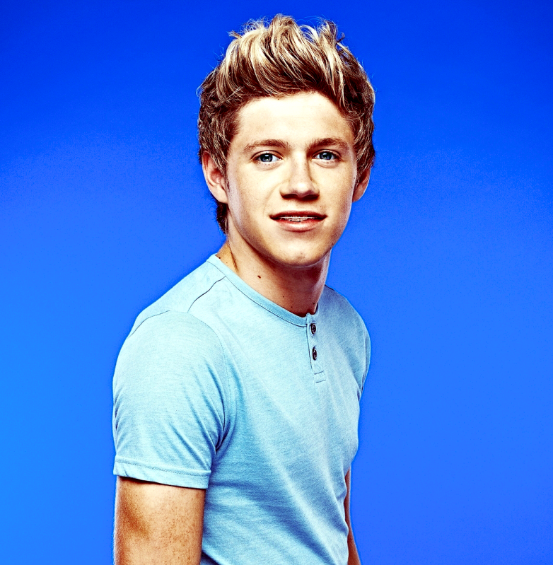 http://img1.wikia.nocookie.net/__cb20130726200354/onedirection/pl/images/2/2c/Niallhoran.png