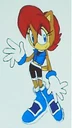 SallyRedesign.jpg