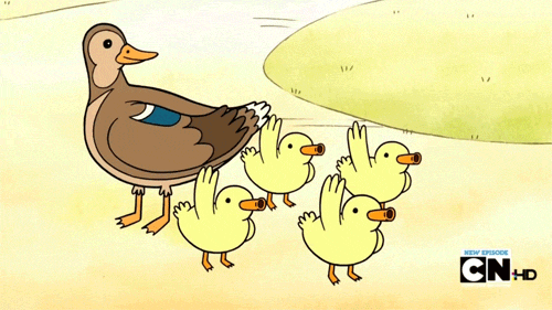 GIFS patos bebés - Imagui