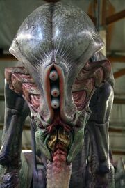 The Thing- Pilot
