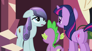 Twilight interviews a Crystal Pony S3E1