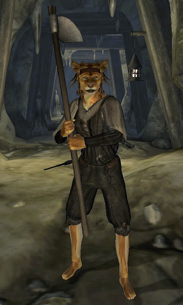 Khajiit Laborer The Elder Scrolls Wiki