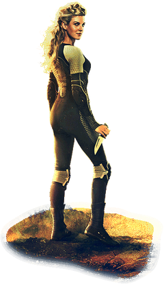 Cashmere Banner