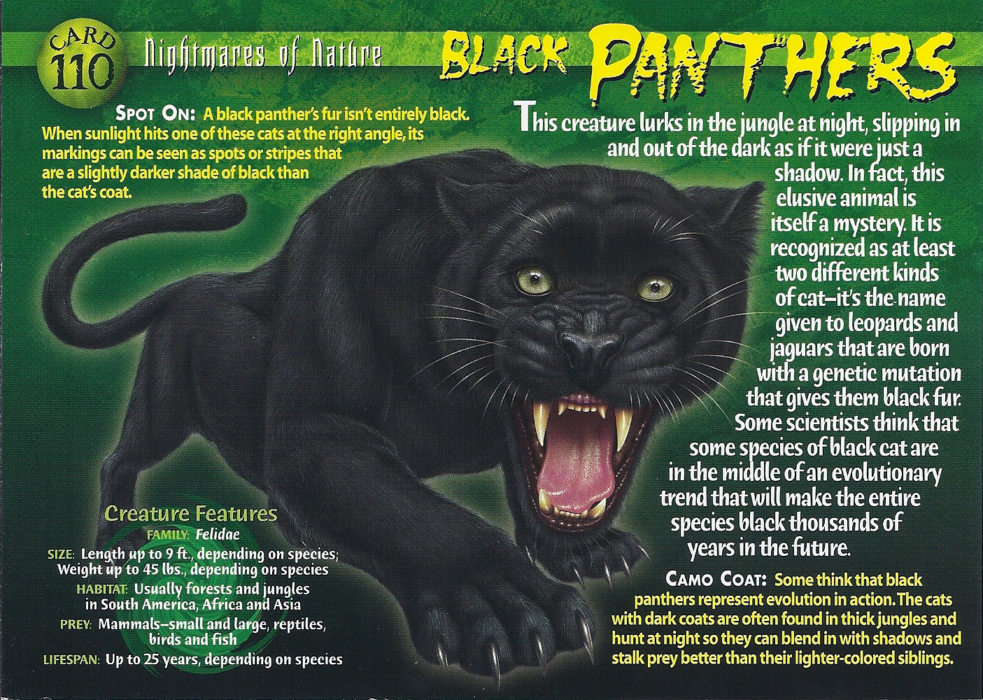 instaling Black Panther