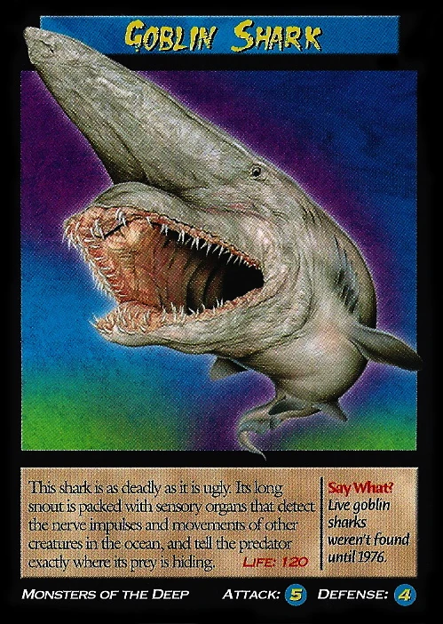 Goblin Shark - Wierd N'wild Creatures Wiki