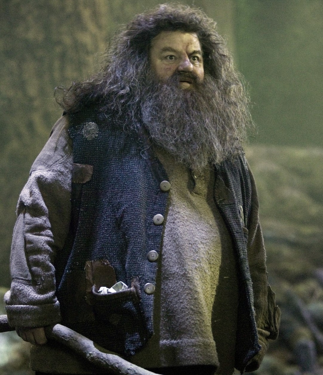 hagridharry potter