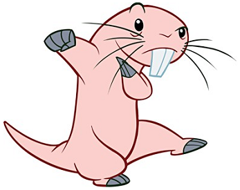 rufus mole rat