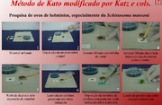 Kato-katz.png