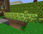 Essence Oreberry Bushes