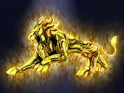 Leo no Cloth