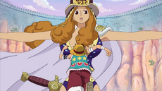 Aphelandra Tries to Stop Luffy
