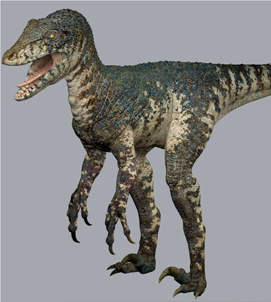 Image 5.3 Balaur.png Anomaly Research Centre