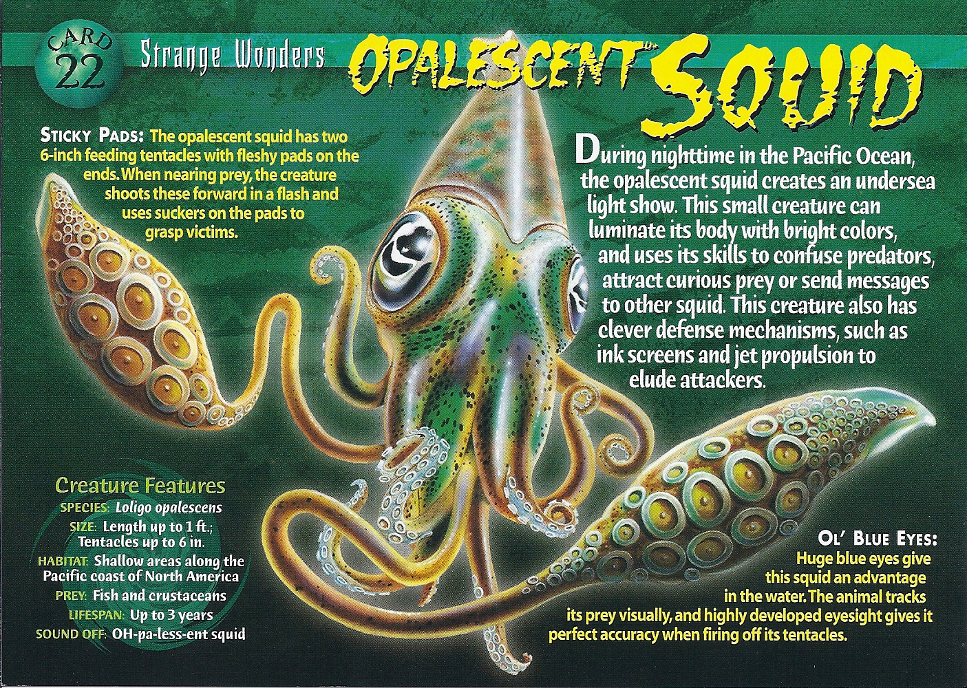 Opalescent Squid Wierd N�wild Creatures Wiki Opalescent Squid Wierd N�wild Creatures Wiki