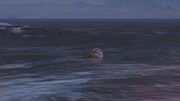 Shark2-GTAV