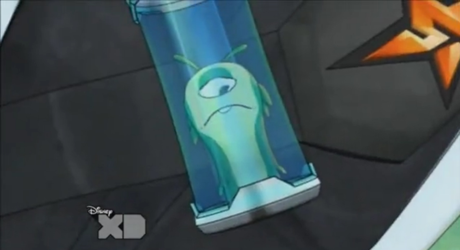 Images: Slugs - SlugTerra Wiki