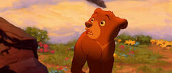 Brother-bear-disneyscreencaps.com-9003