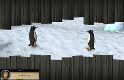 Spying penguins