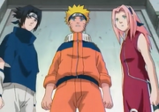 El equipo 7 en los examenes chunin