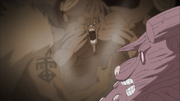 Raikage vs Gyuki