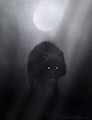 180px-Wolf_of_winter_night_by_Dark_Sheyn