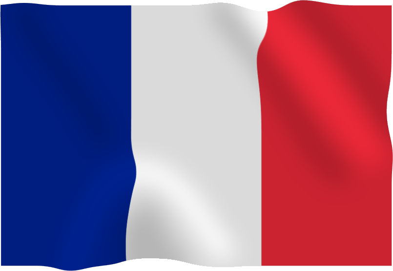 Image - 3D Flag of France.png - SporeWiki, the Spore wiki ...