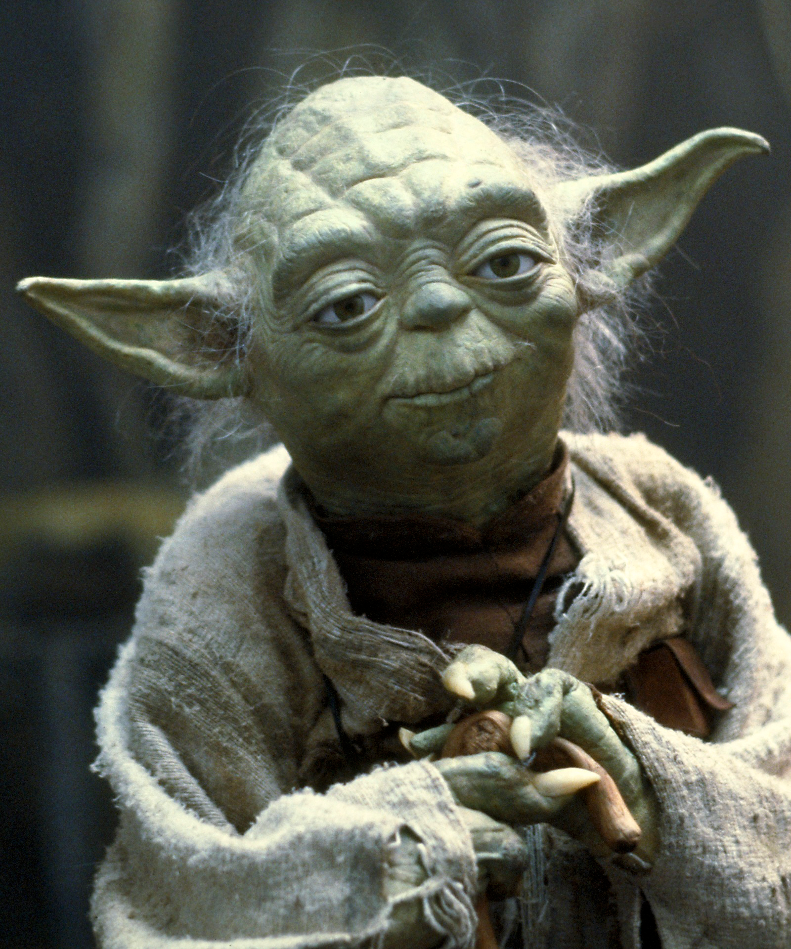 http://img1.wikia.nocookie.net/__cb20131106213953/starwars/images/d/d6/Yoda_SWSB.png