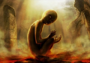 The Firstborn