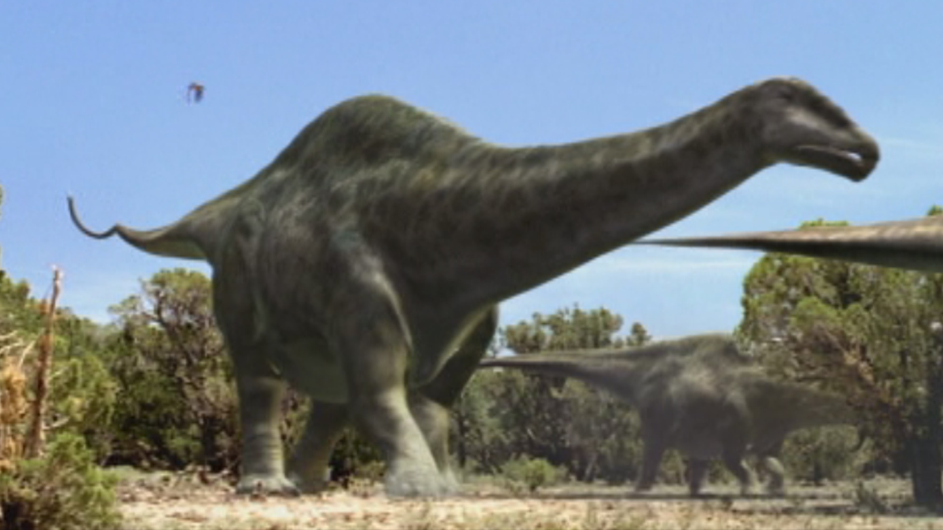 camp cretaceous apatosaurus