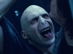 Harry-Potter-Voldemort l
